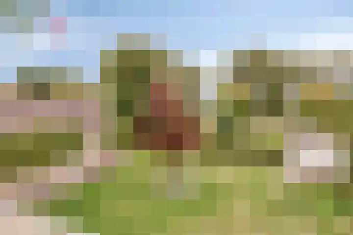Hoendervogellaan 15 Heinkenszand thumbnail 44