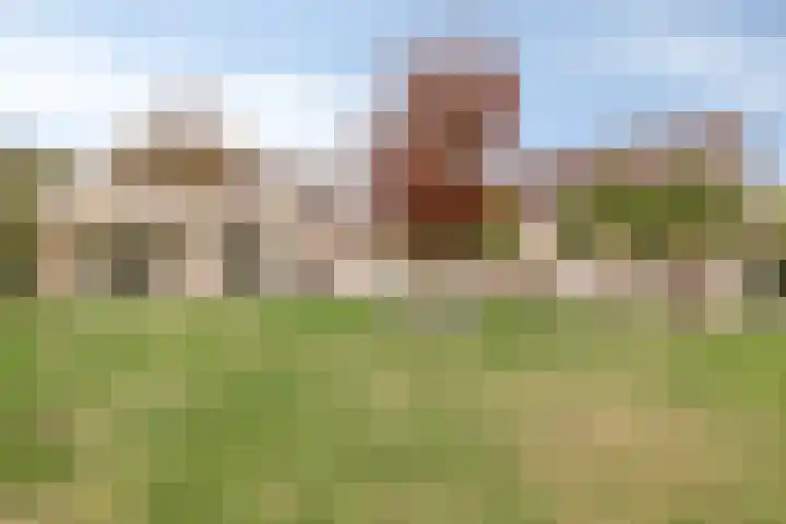 Hoendervogellaan 15 Heinkenszand thumbnail 45