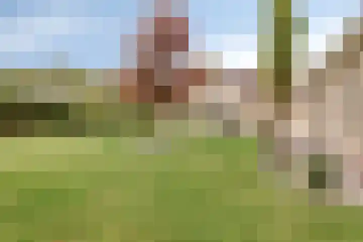 Hoendervogellaan 15 Heinkenszand thumbnail 46