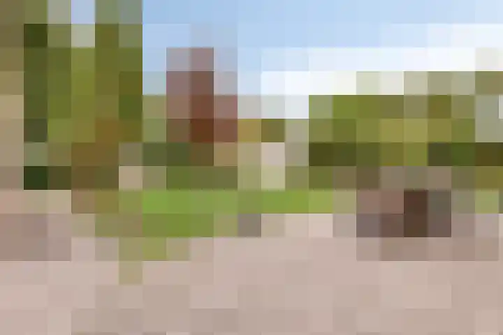 Hoendervogellaan 15 Heinkenszand thumbnail 47