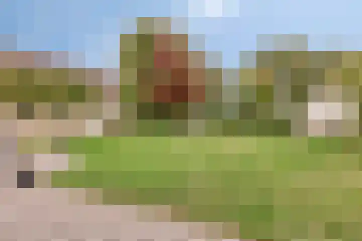 Hoendervogellaan 15 Heinkenszand thumbnail 48