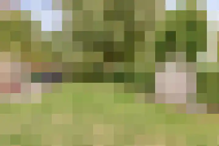 Hoendervogellaan 15 Heinkenszand thumbnail 49
