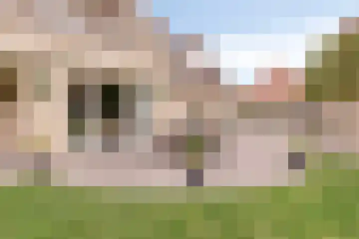 Hoendervogellaan 15 Heinkenszand thumbnail 50