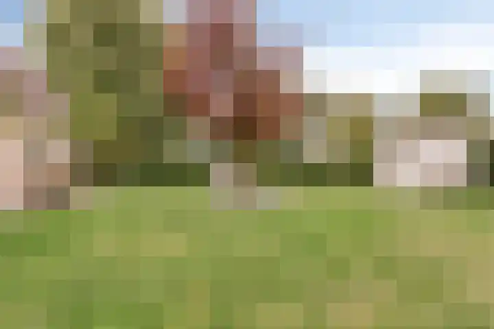 Hoendervogellaan 15 Heinkenszand thumbnail 51