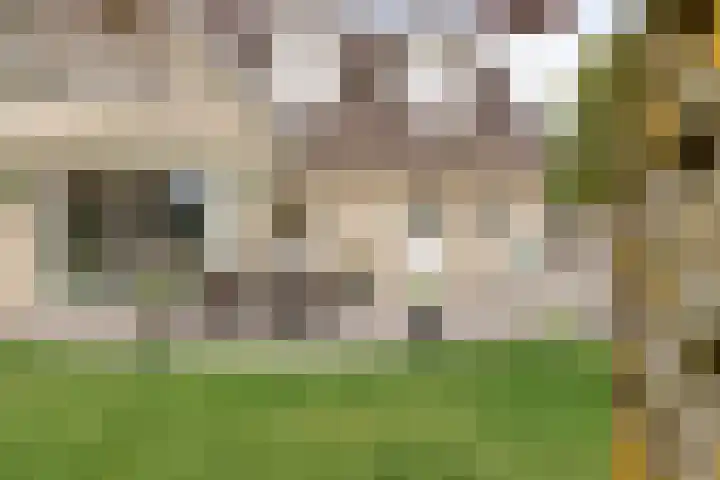 Hoendervogellaan 15 Heinkenszand thumbnail 52