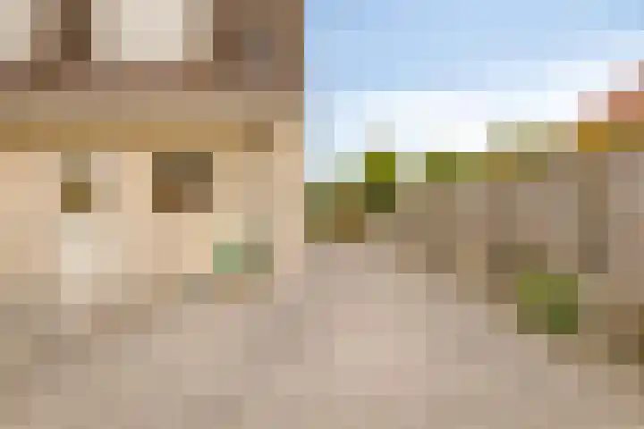 Hoendervogellaan 15 Heinkenszand thumbnail 53