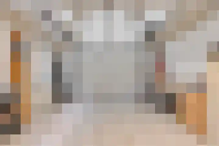 Hoendervogellaan 15 Heinkenszand thumbnail 55