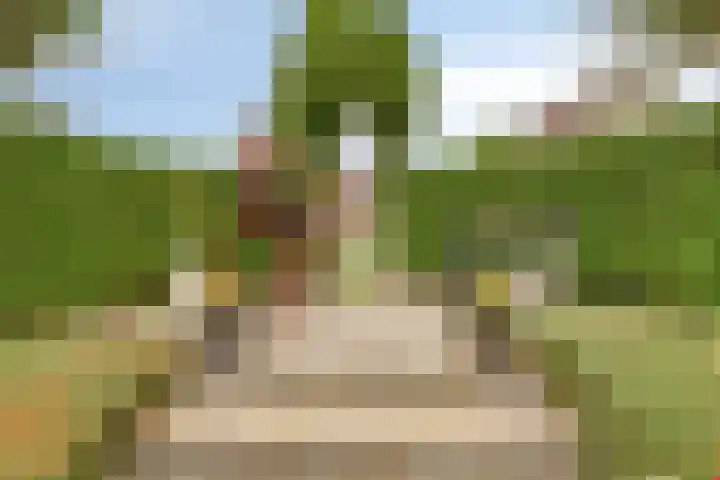 Hoendervogellaan 15 Heinkenszand thumbnail 56