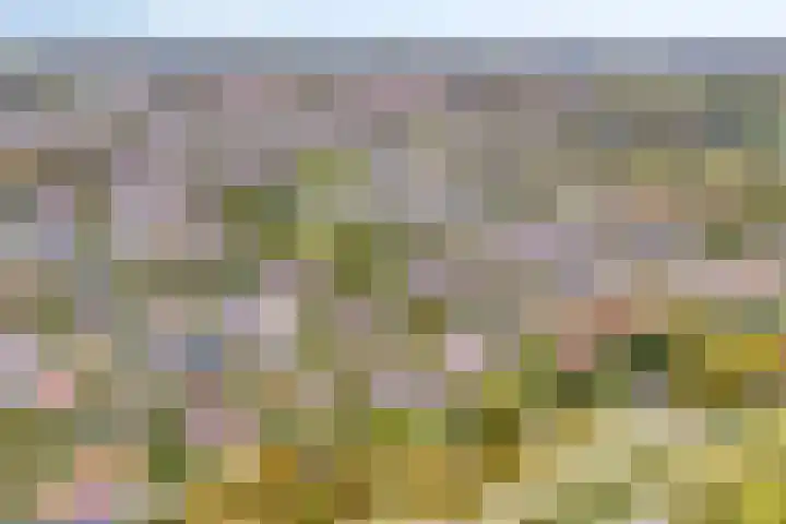 Hoendervogellaan 15 Heinkenszand thumbnail 57