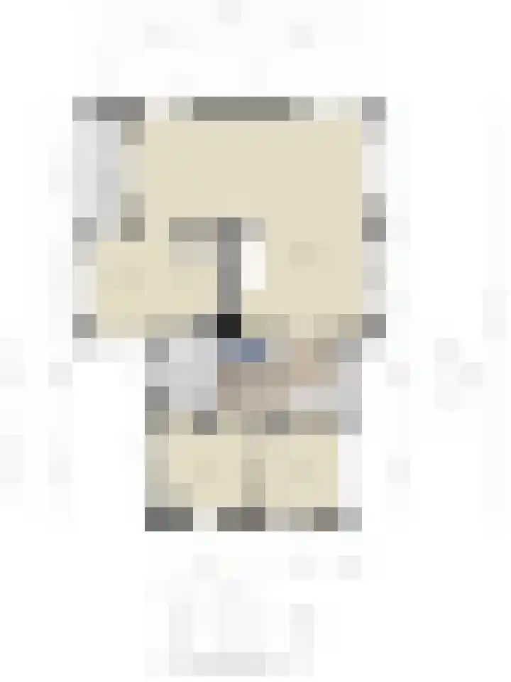 Hoendervogellaan 15 Heinkenszand thumbnail 59