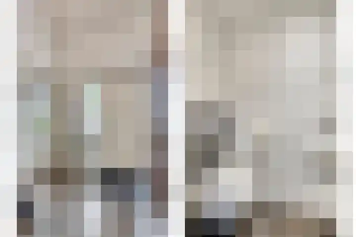 Hoendervogellaan 15 Heinkenszand thumbnail 7