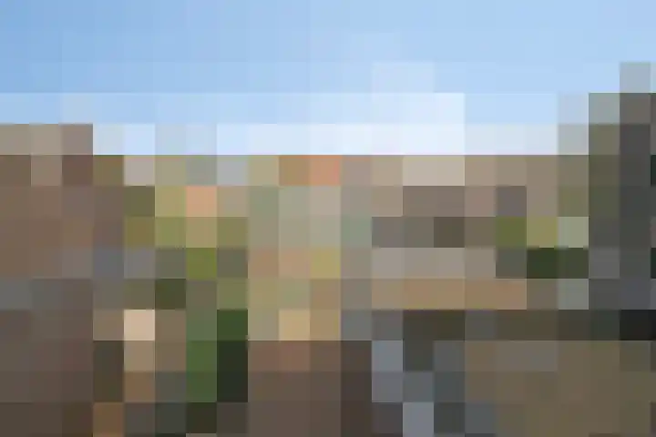 Hoenderweg 102 Sint-Annaland thumbnail 37