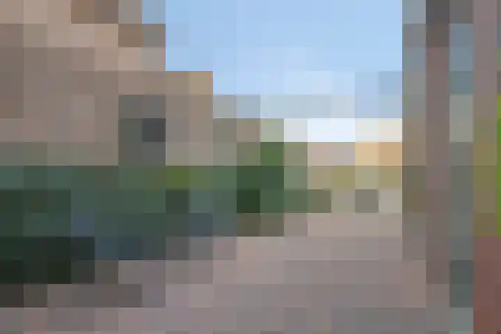 Hoenderweg 102 Sint-Annaland thumbnail 39