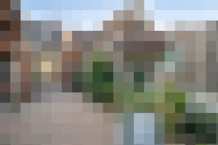 Hoenderweg 102 Sint-Annaland thumbnail 44