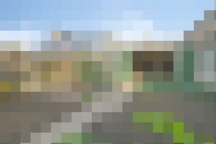 Hoenderweg 102 Sint-Annaland thumbnail 48
