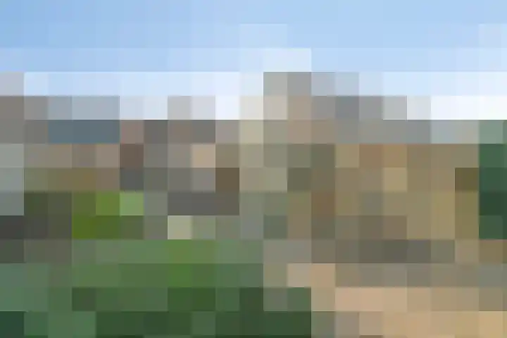Hoenderweg 102 Sint-Annaland thumbnail 51