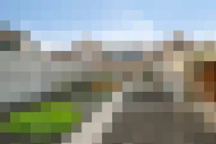 Hoenderweg 102 Sint-Annaland thumbnail 52
