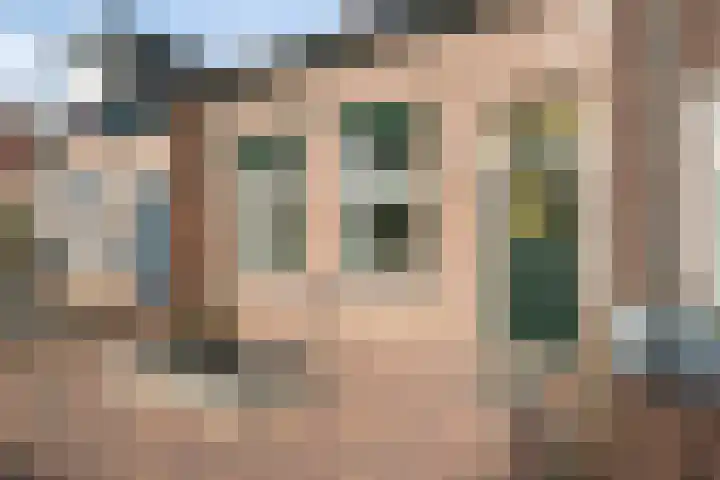 Hoenderweg 102 Sint-Annaland thumbnail 6