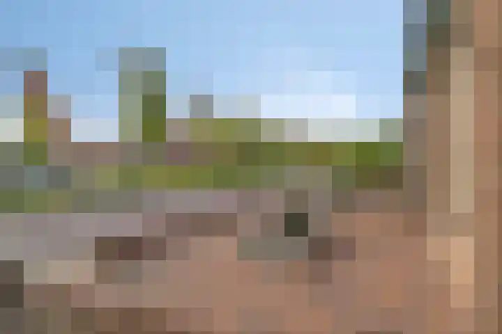 Hoenderweg 102 Sint-Annaland thumbnail 63