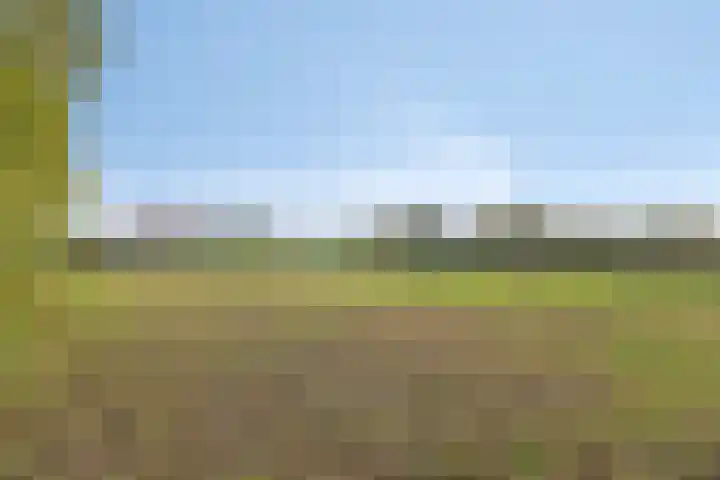 Hoenderweg 102 Sint-Annaland thumbnail 68