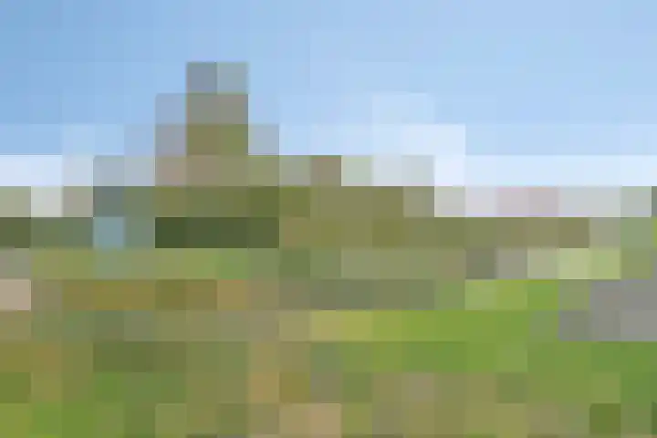 Hoenderweg 102 Sint-Annaland thumbnail 69