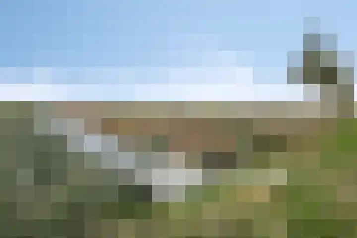 Hoenderweg 102 Sint-Annaland thumbnail 70