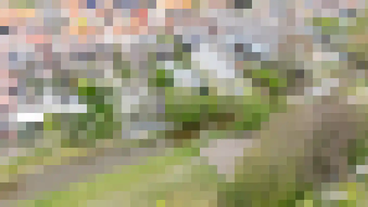 Hoenderweg 105 Sint-Annaland thumbnail 39