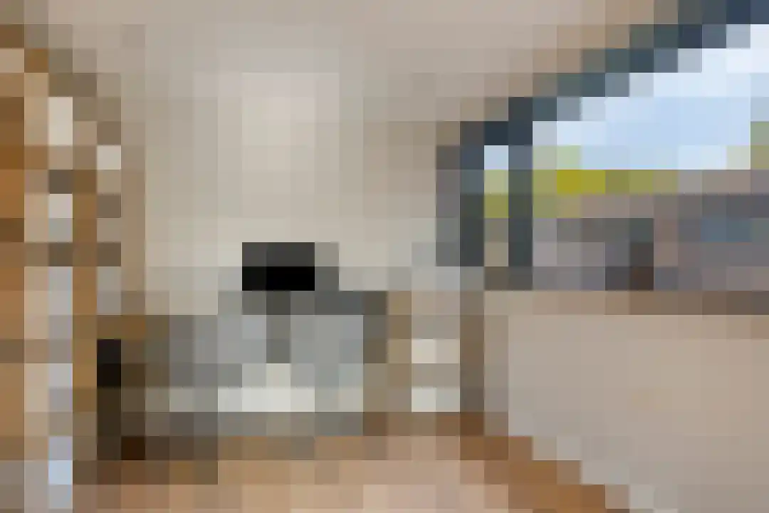 Hoenderweg 11 Ede thumbnail 14