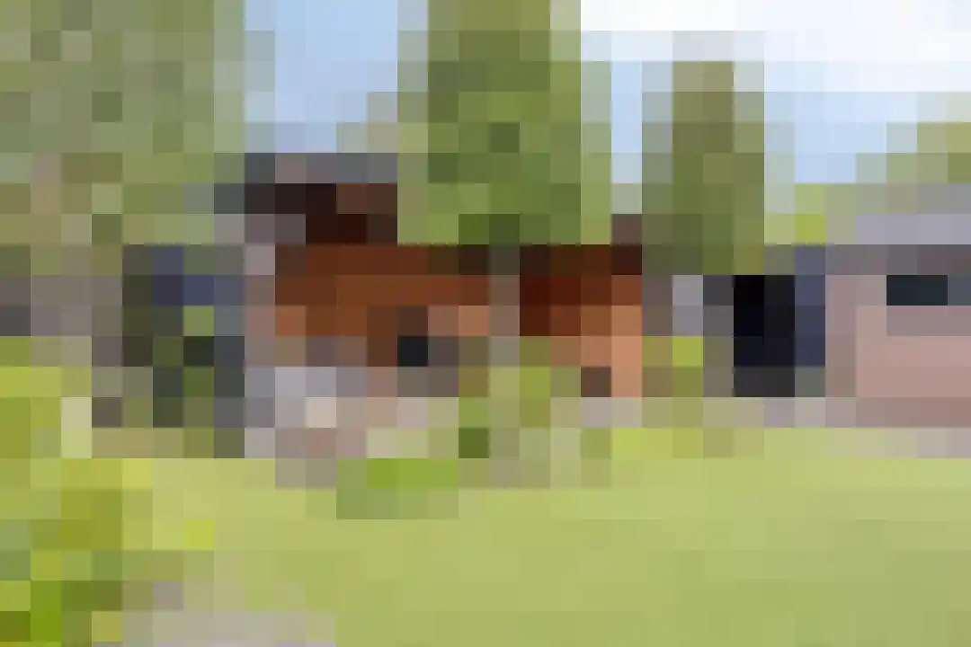 Hoenderweg 11 Ede thumbnail 38