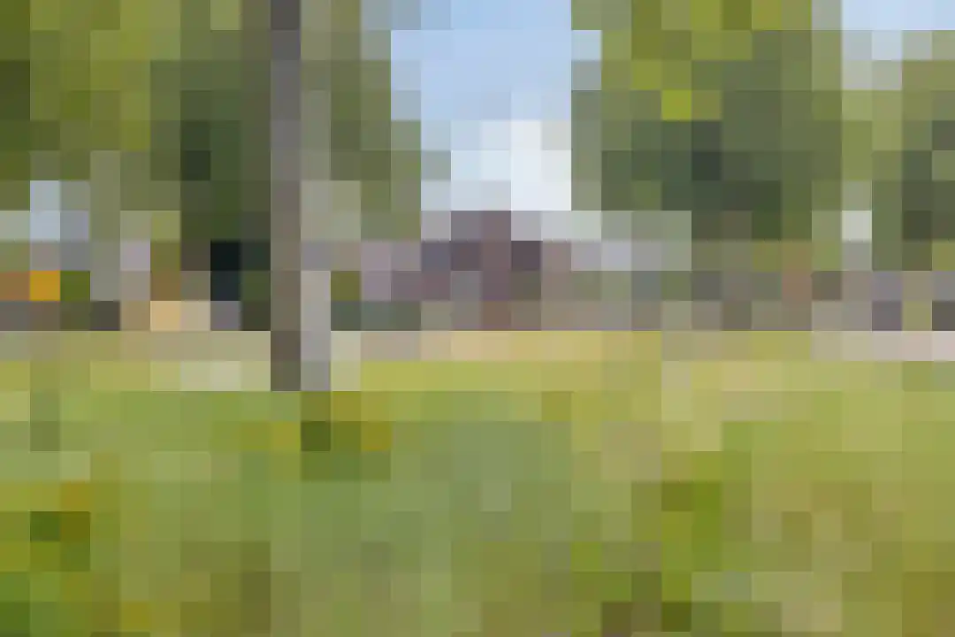 Hoenderweg 11 Ede thumbnail 47