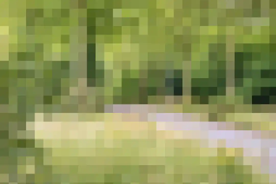 Hoenderweg 11 Ede thumbnail 48
