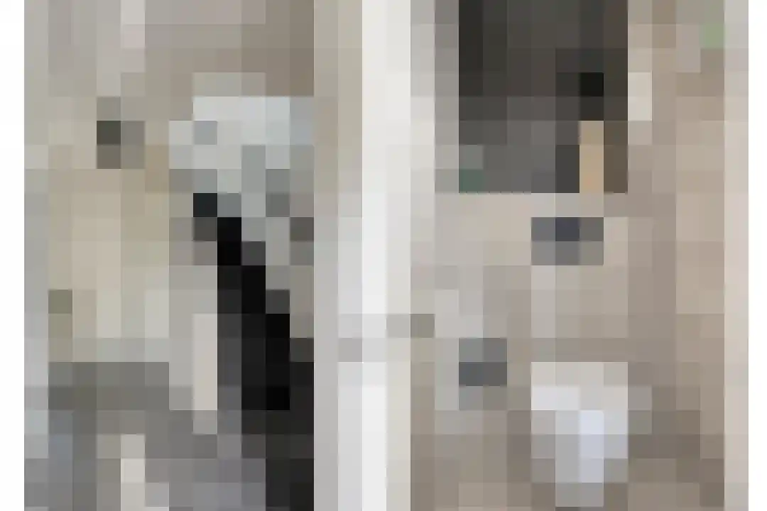 Hoenderweg 11 Ede thumbnail 5