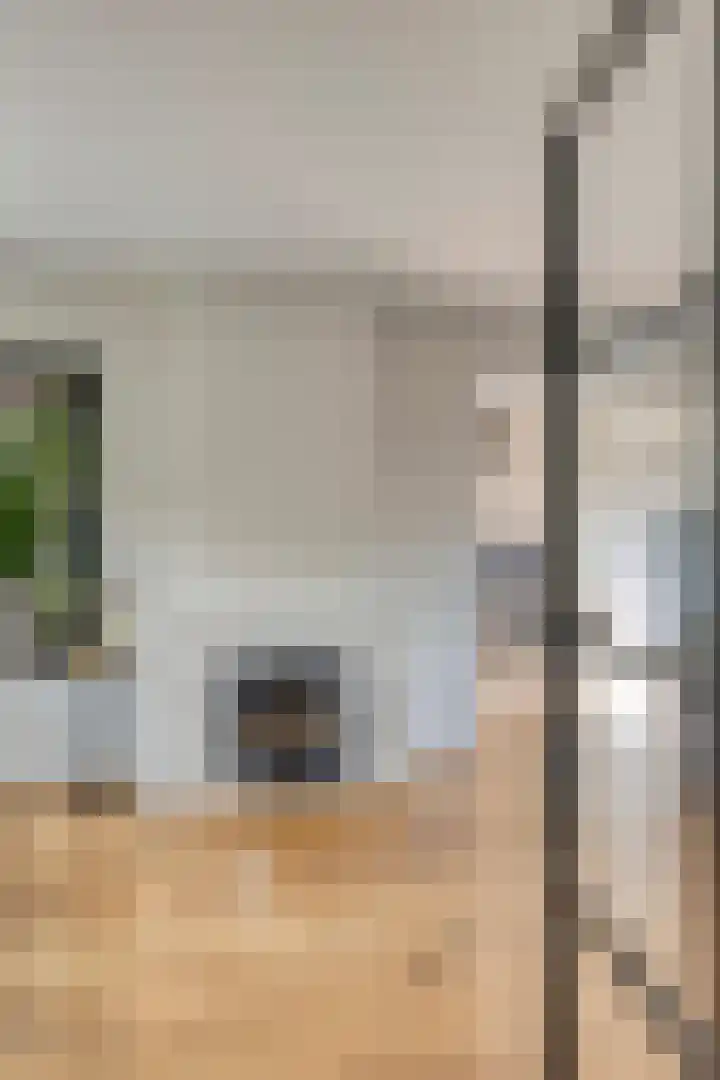 Hoenderweg 11 Ede thumbnail 6