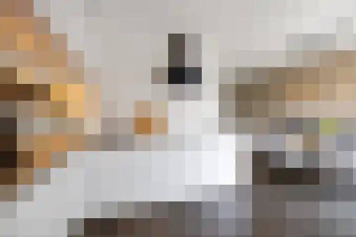 Hoenderweg 32 Lemelerveld thumbnail 15