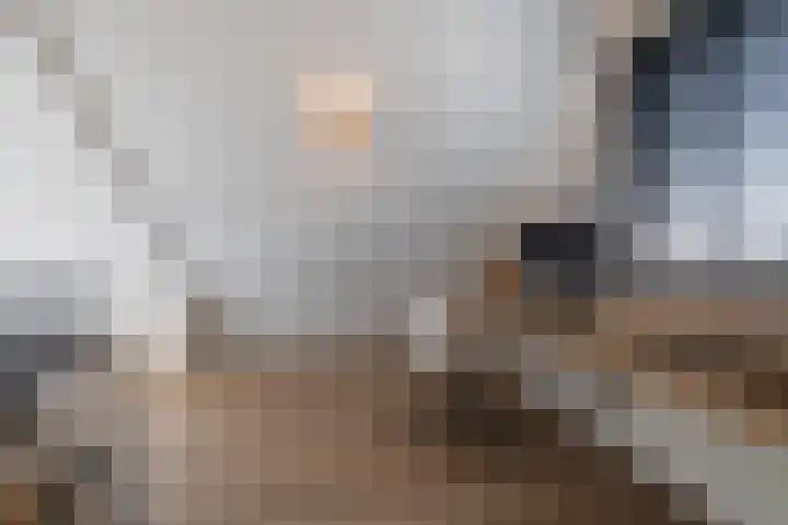 Hoenderweg 32 Lemelerveld thumbnail 33