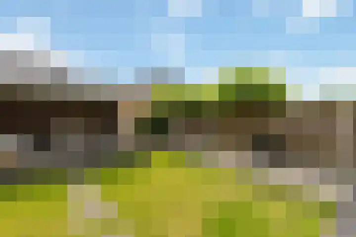 Hoenderweg 32 Lemelerveld thumbnail 35