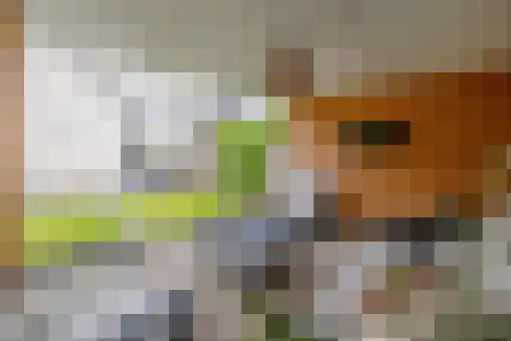 Hoenderweg 32 Lemelerveld thumbnail 37