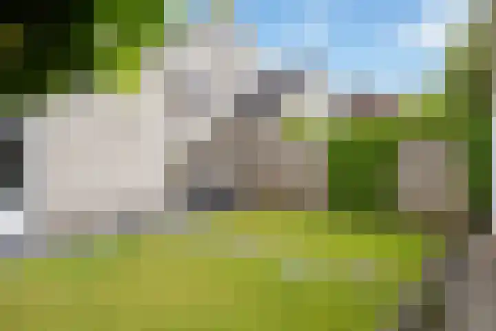 Hoenderweg 32 Lemelerveld thumbnail 38