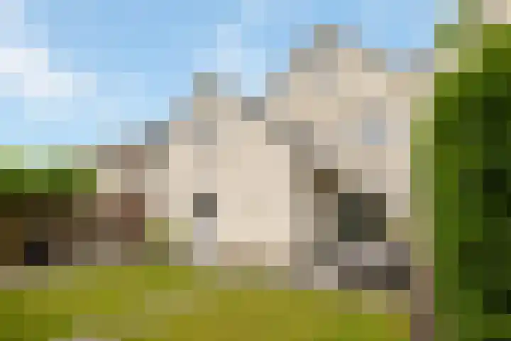 Hoenderweg 32 Lemelerveld thumbnail 41