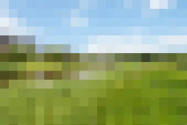 Hoenderweg 32 Lemelerveld thumbnail 43