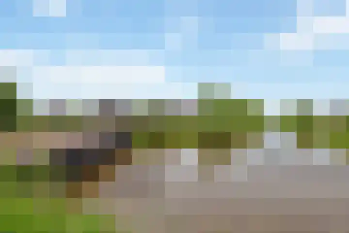 Hoenderweg 32 Lemelerveld thumbnail 44
