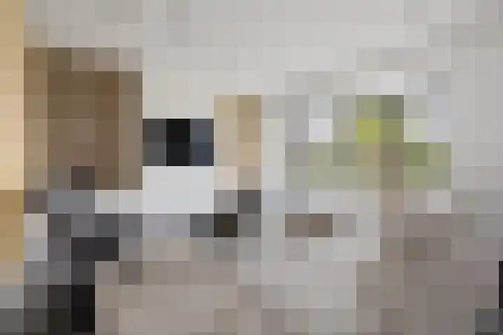 Hoenderweg 32 Lemelerveld thumbnail 5