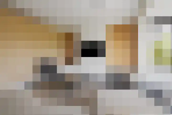 Hoenderweg 32 Lemelerveld thumbnail 6
