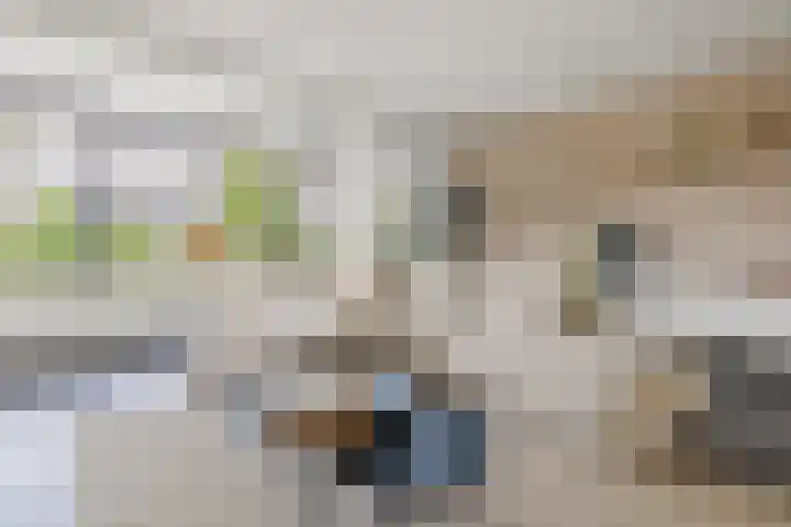 Hoenderweg 32 Lemelerveld thumbnail 7