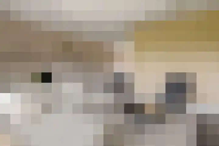 Hoenderweg 32 Lemelerveld thumbnail 9