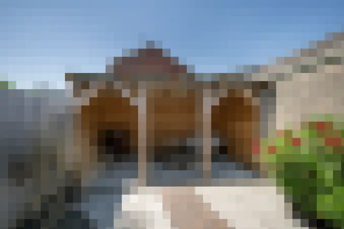 Hoenderweg 42 Sint-Annaland thumbnail 35