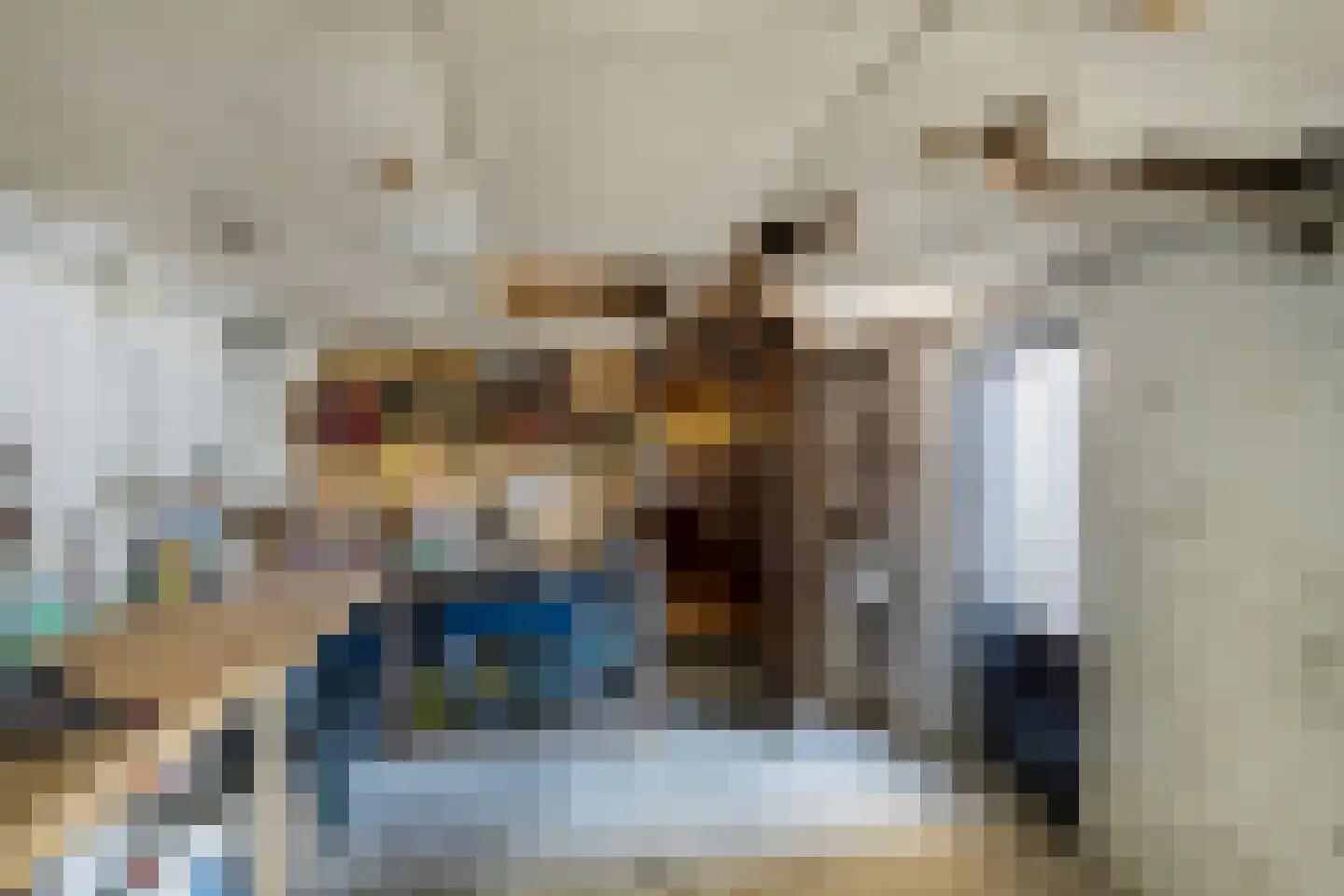 Hoenderweg 42 Sint-Annaland thumbnail 39