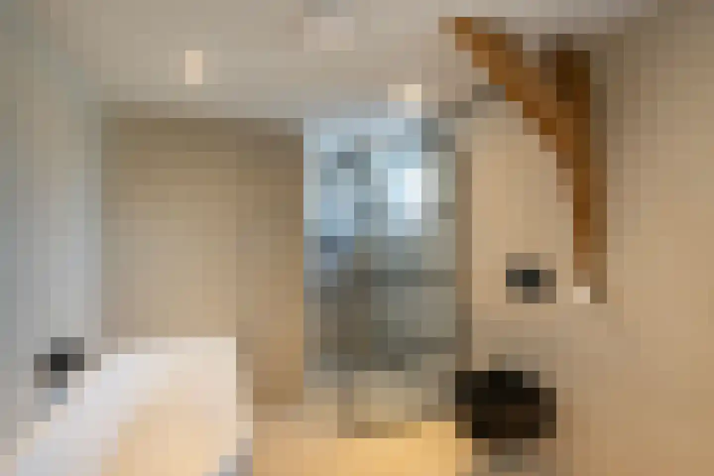 Hoenderweg 42 Sint-Annaland thumbnail 5