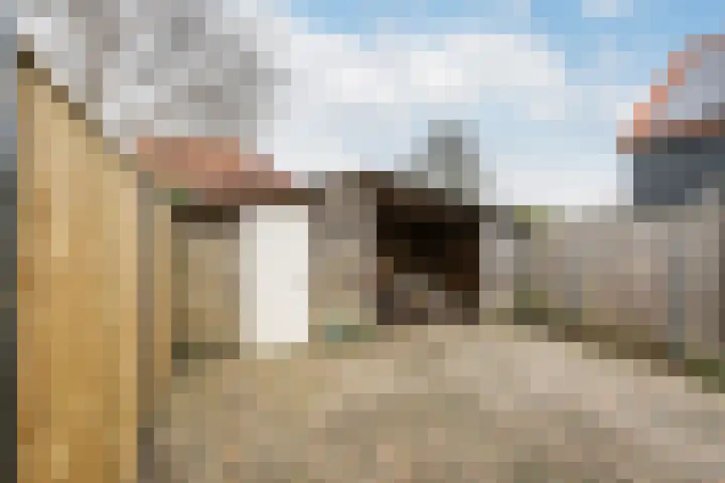 Hoenderweg 58 Sint-Annaland thumbnail 30