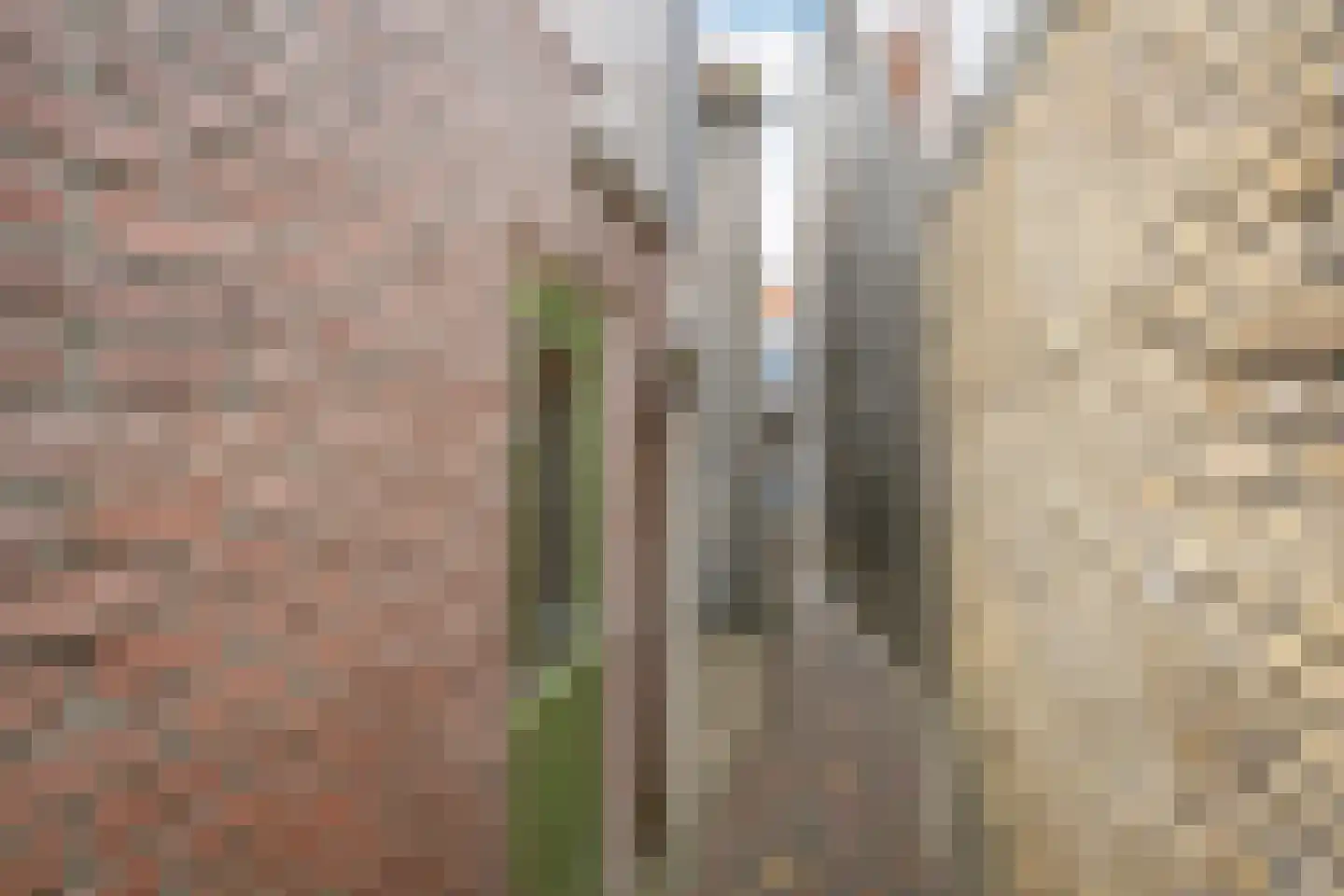 Hoenderweg 58 Sint-Annaland thumbnail 34